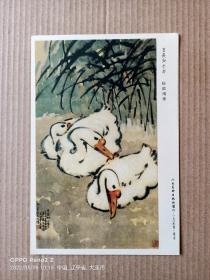 1954年徐悲鸿(日长如小年)画片一张