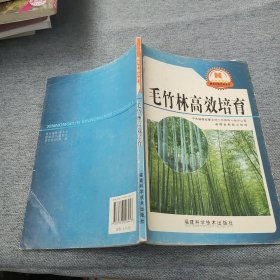 毛竹林高效培育