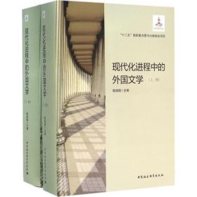 现代化进程中的外国文学 外国文学理论 陆建德 主编 新华正版