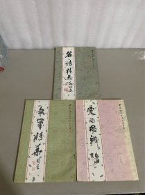 中国钢笔书法系列丛书（文笔精华、爱的思辨、名诗精选）三册合售