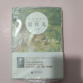 爱弥儿（经典超译本）