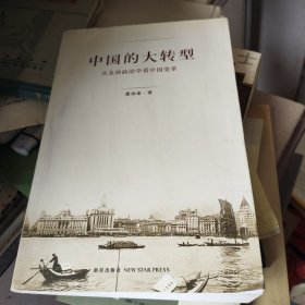 中国的大转型：从发展政治学看中国变革