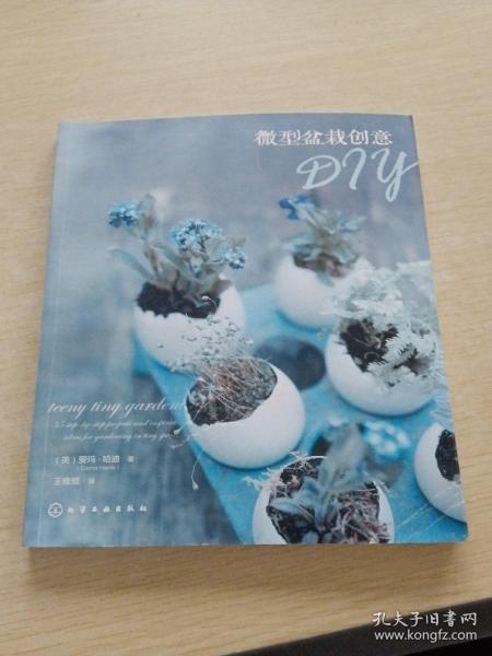 微型盆栽创意DIY