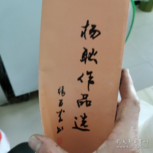 杨耿作品选