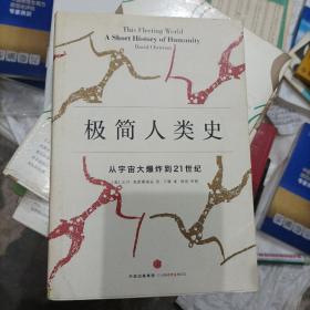 极简人类史：从宇宙大爆炸到21世纪(大本32开A220501)