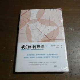 我们如何思维