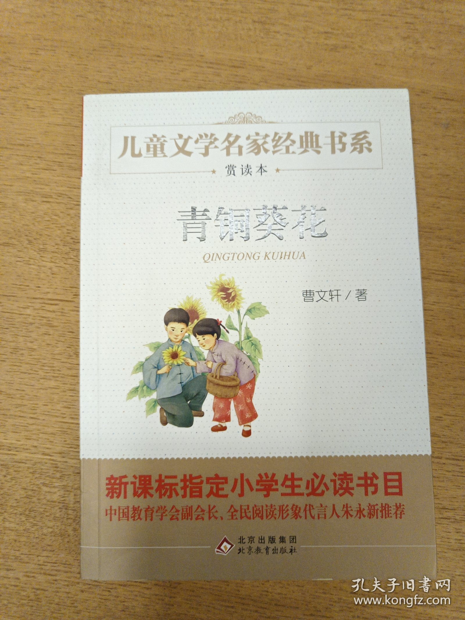 曹文轩推荐儿童文学经典书系 青铜葵花
