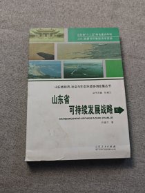 山东省可持续发展战略 1