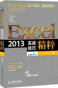 Excel 2013实战技巧精粹