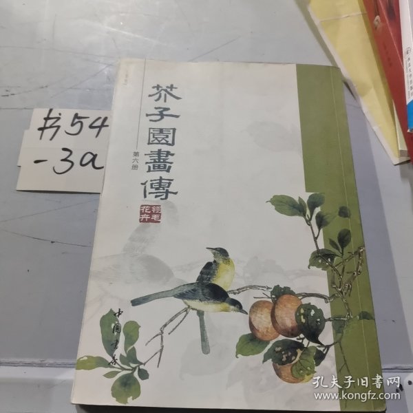 芥子园画传（第六册）