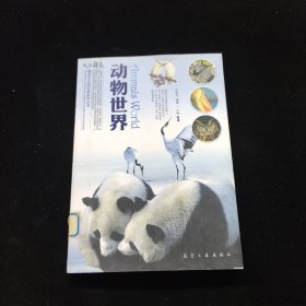 动物世界