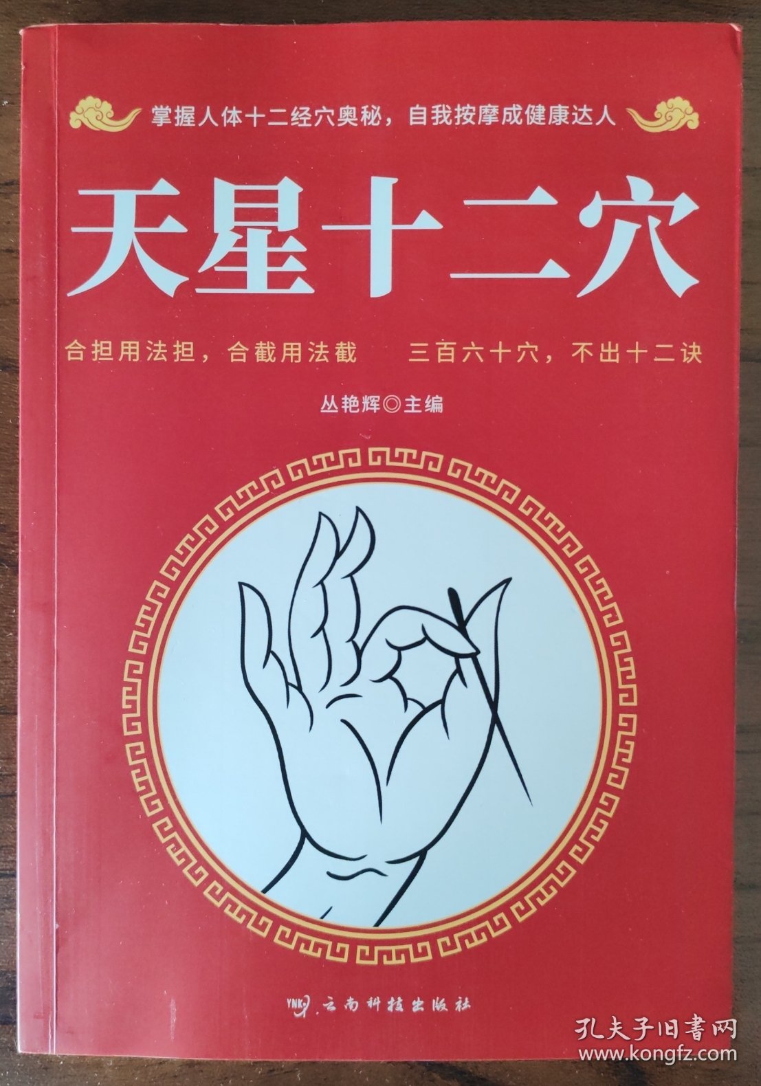 天星十二穴