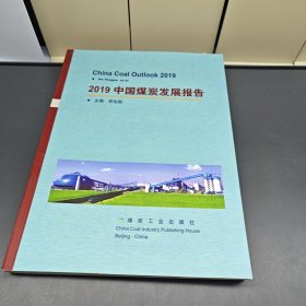 2019中国煤炭发展报告