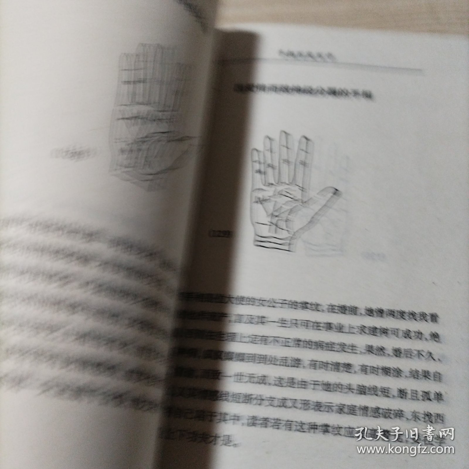 相魂富贵与犯罪手相（书内无勾划）