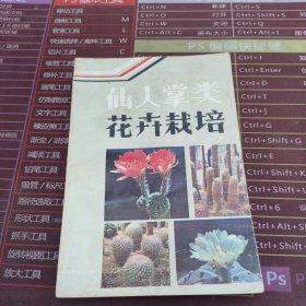 仙人掌类花卉栽培