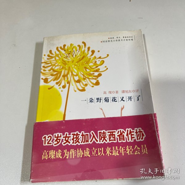 一朵野菊花又开了