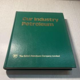 Our Industry Petroleum