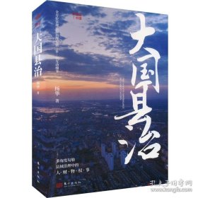 大国县治（继《县乡中国》后 畅销书作者杨华又一基层治理力作）