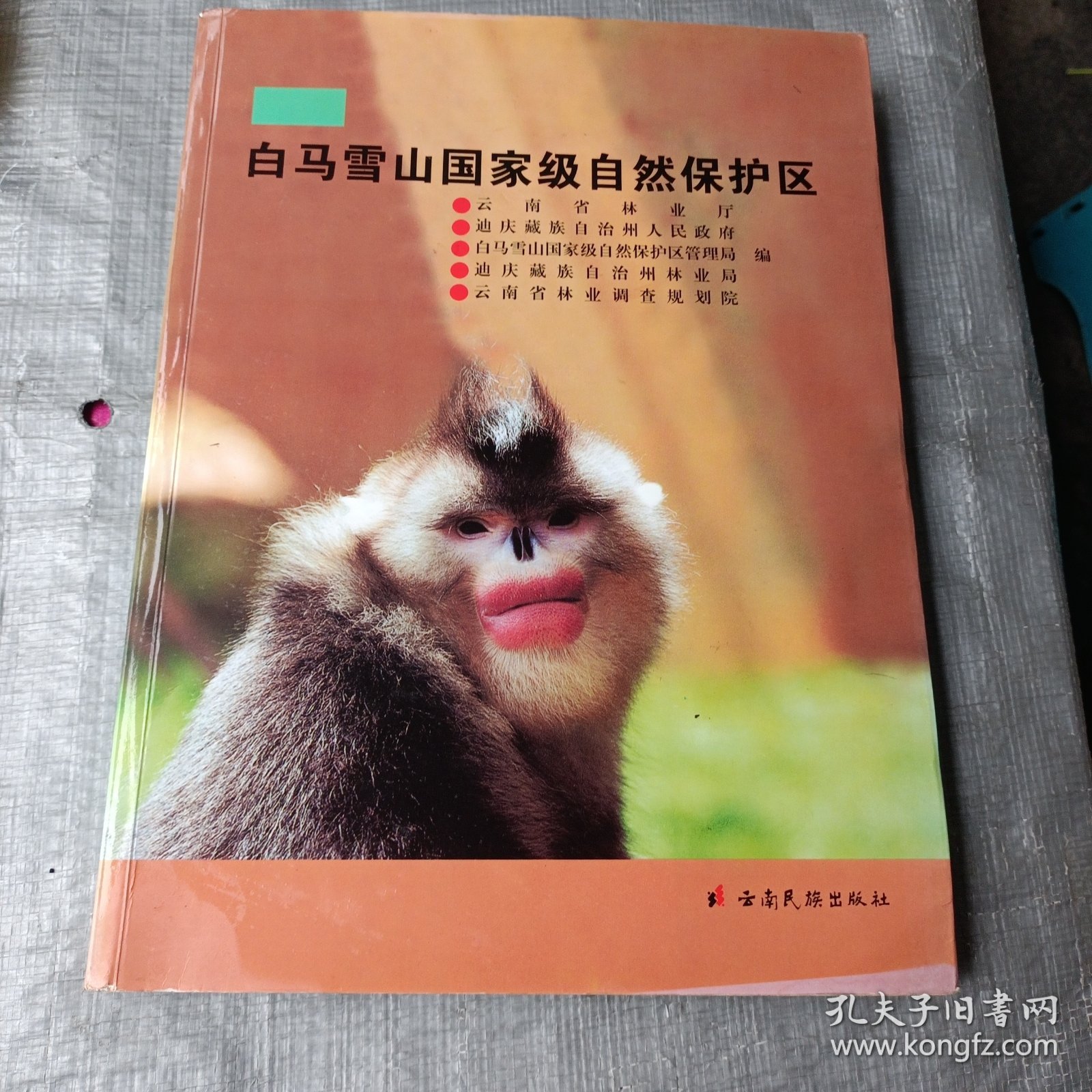 白马雪山国家级自然保护区