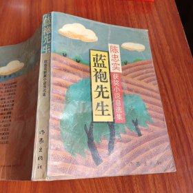 蓝袍先生