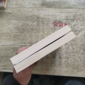 奈何薄欢 上下册