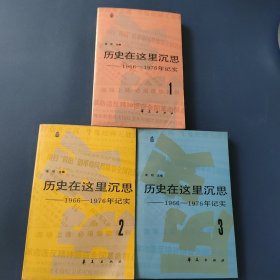 历史在这里沉思1966-1976年记实1、2、3