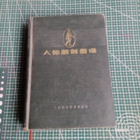 人体解部图谱