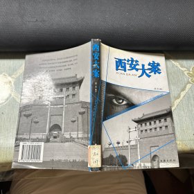 西安大案