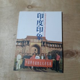 印度印象 中国美术家齐鲁国际文化考察团印度采风 91-163