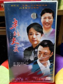 三十集电视连续剧《半路夫妻》VCD30碟，正版品佳