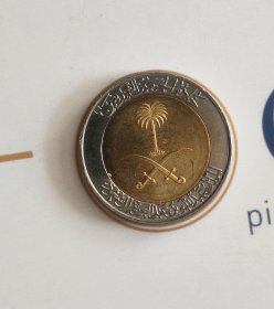 沙特阿拉伯100里亚尔硬币