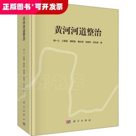 黄河河道整治（精装）