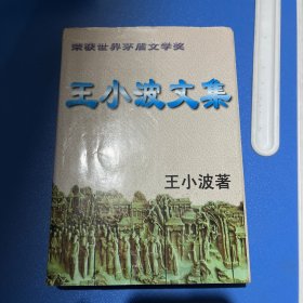 白银时代：王小波文集