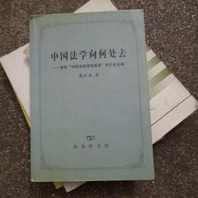 中国法学向何处去：建构“中国法律理想图景”时代的论纲