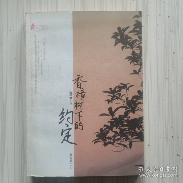 香樟树下的约定