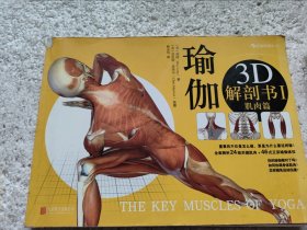 瑜伽3D解剖书I：肌肉篇