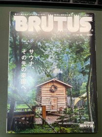 brutus 日本原版杂志 2022 桑拿特辑