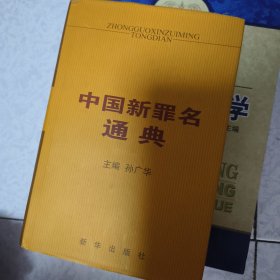 中国新罪名通典