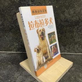 拉布拉多犬