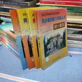 同步高效能力训练丛书 初一 语文 英语 几何 代数（全4册本合售/内页干净无笔记）