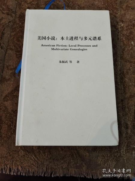 美国小说：本土进程与多元谱系/外教社外国文学研究丛书