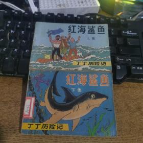 丁丁历险记红海鲨鱼上下集