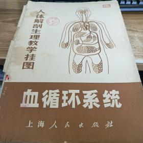 人体解剖生理教学挂图血循环系统