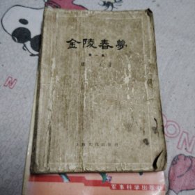 金陵春梦第一集