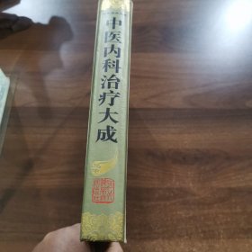 中医内科治疗大成