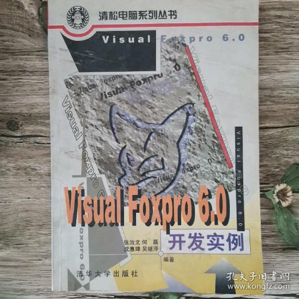 VISUAL FOXPRO 6.0开发实例