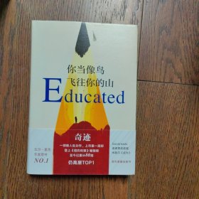 你当像鸟飞往你的山