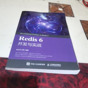 Redis 6 开发与实战