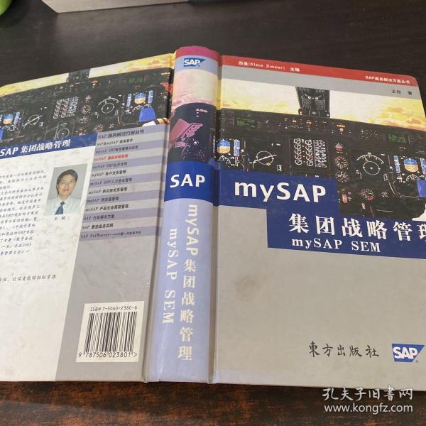 mySAP集团战略管理