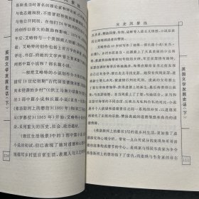 文史风景线（英国文学发展史话）上下册